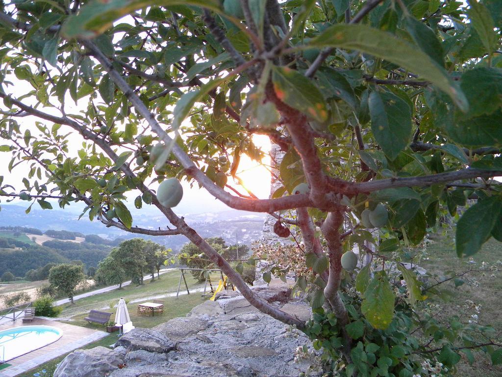 Agriturismo Borgo San Benedetto Villa Pietralunga  Ngoại thất bức ảnh